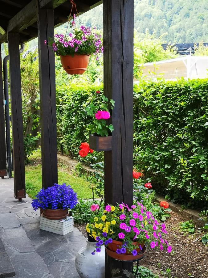 Appartamenti Casa Viviana Pergine Valsugana Buitenkant foto