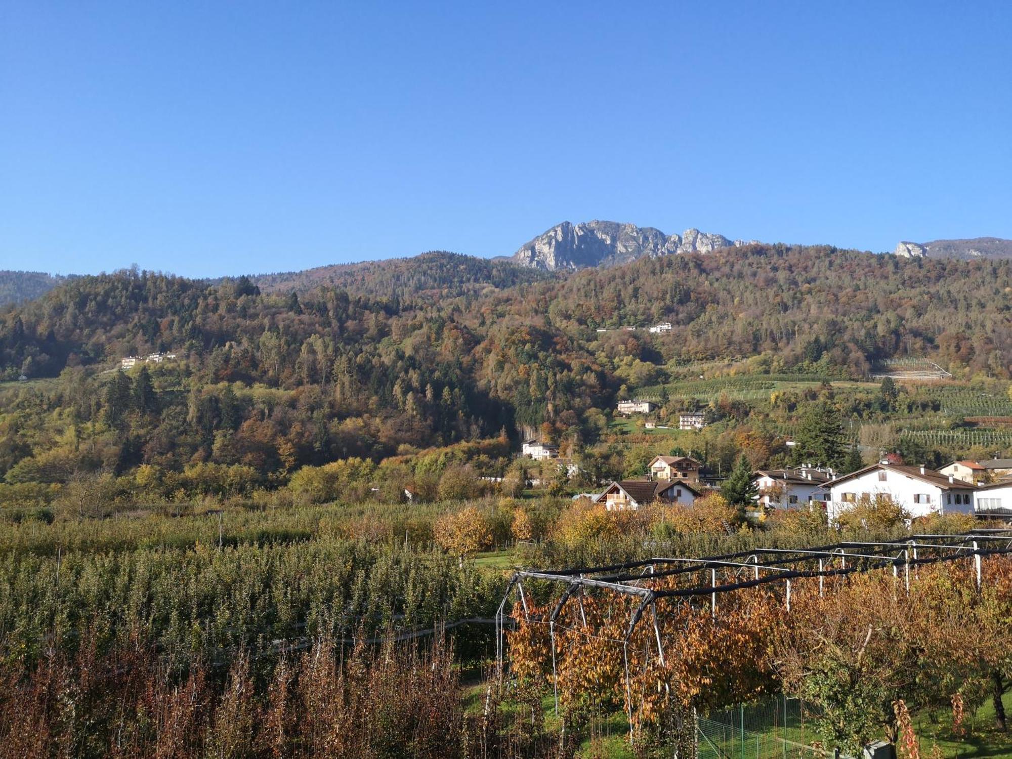 Appartamenti Casa Viviana Pergine Valsugana Buitenkant foto